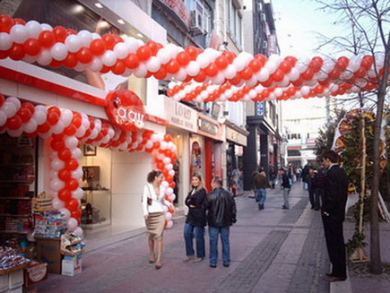  Igdir ieki - Igdir dgn organizasyonu ve snnet dgn isyeri balon sslemesi